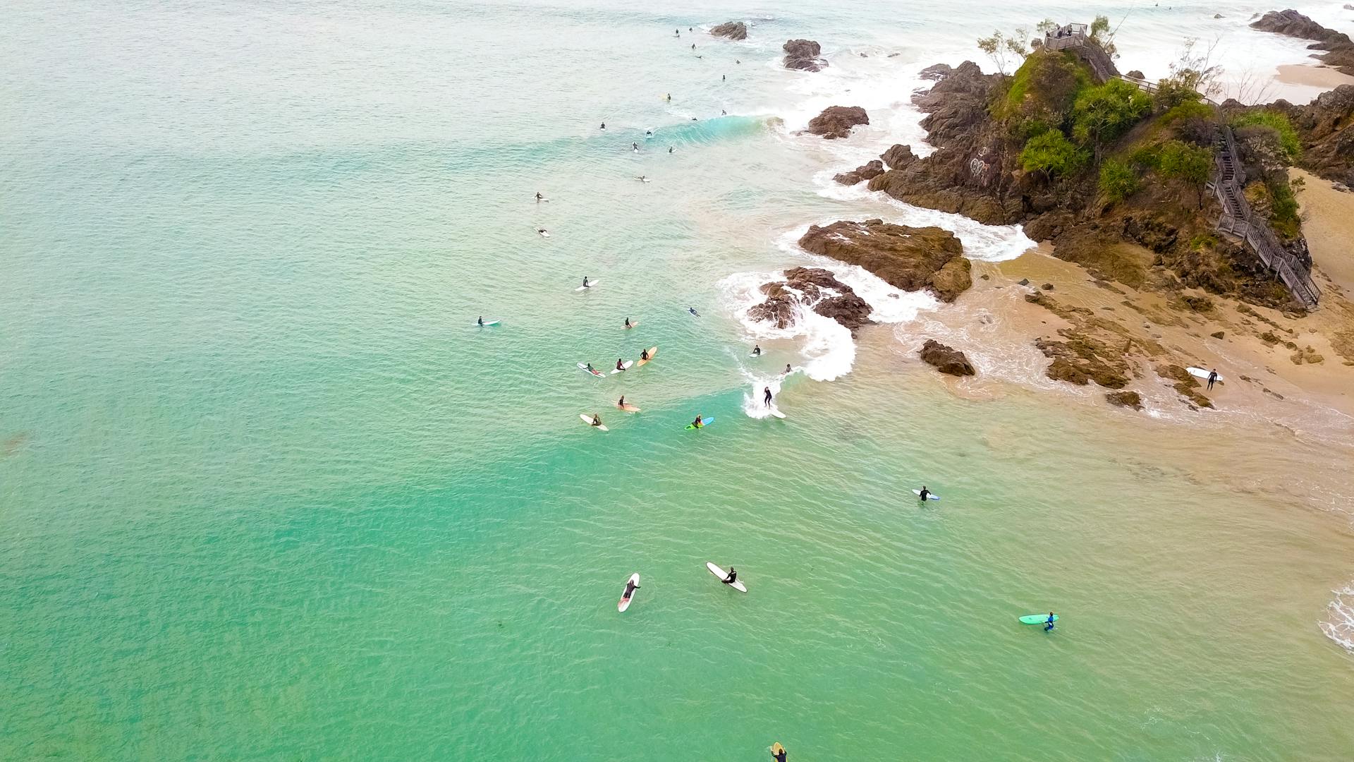 Whale Watching in Byron Bay: Your Complete Season Guide